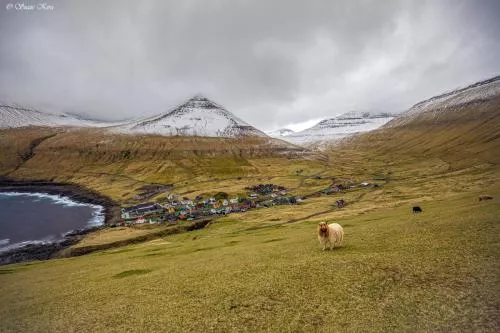 Faroe Islands Suzi Kira