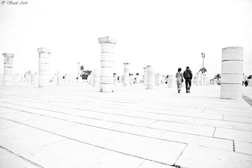 IMG 7891