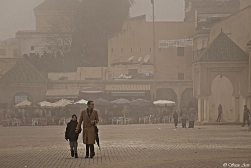 IMG 8080